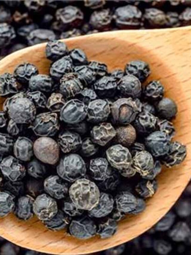 काली मिर्च (Black Pepper) फायदे