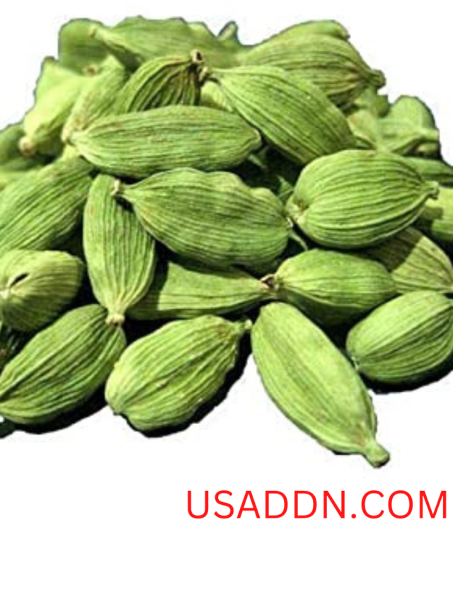 इलायची के फायदे, और नुकसान (Advantages and disadvantages of cardamom)